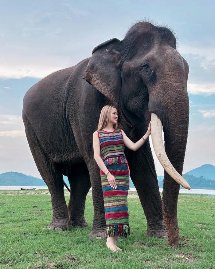 du lịch thân thiên với voi  trải nghiệm ở hồ Lắk 