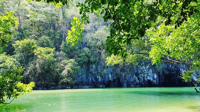 Rừng tự nhiên tại vườn quốc gia sông ngầm Puerto Princesa