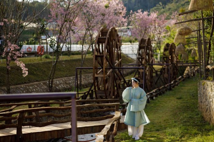 Đến các toạ độ chụp áo dài Tết ở Đà Lạt đẹp ngất ngây tậu ảnh xinh