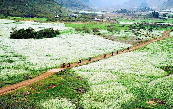 Du lịch Mộc Châu vào mùa xuân nên đến Bản Thung Cuông