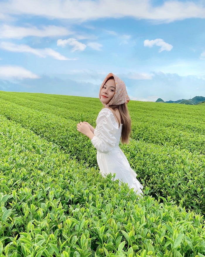 Du lịch Mộc Châu vào mùa xuân nên đến Đồi chè Mộc Châu