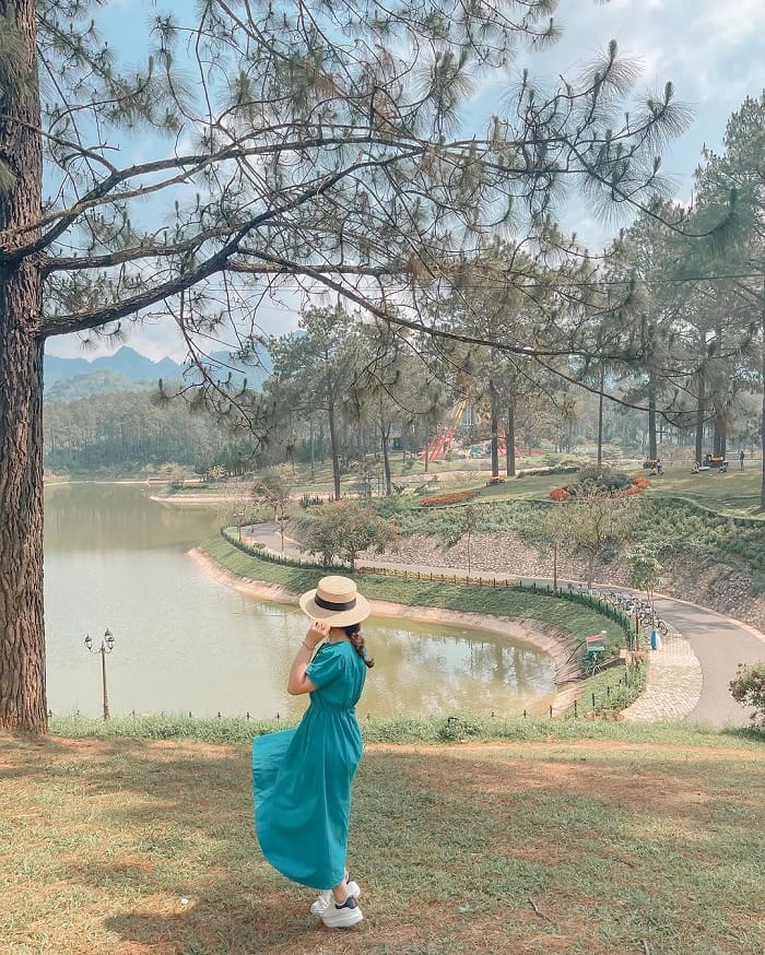 Du lịch Mộc Châu vào mùa xuân nên đến Rừng thông Bản Áng