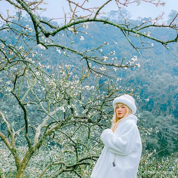 Du lịch Mộc Châu vào mùa xuân nên đến Thung lũng mân Nà Ka