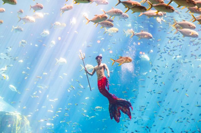 Lịch trình du lịch Phú Quốc 4 ngày 3 đêm dịp Tết show nàng Tiên Cá