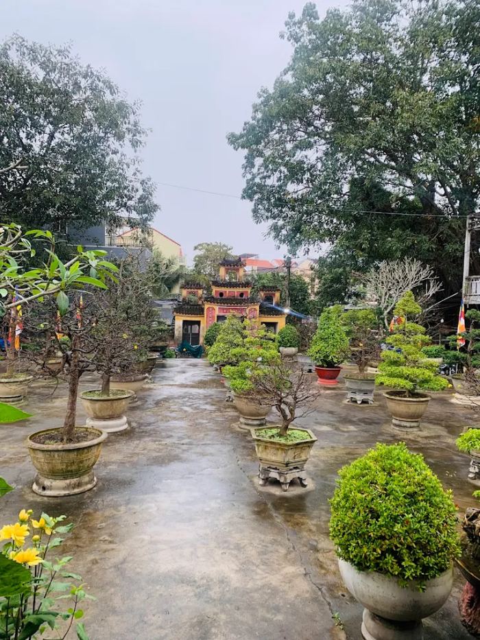 những ngôi chùa đẹp ở Hội An chùa Viên Giác 