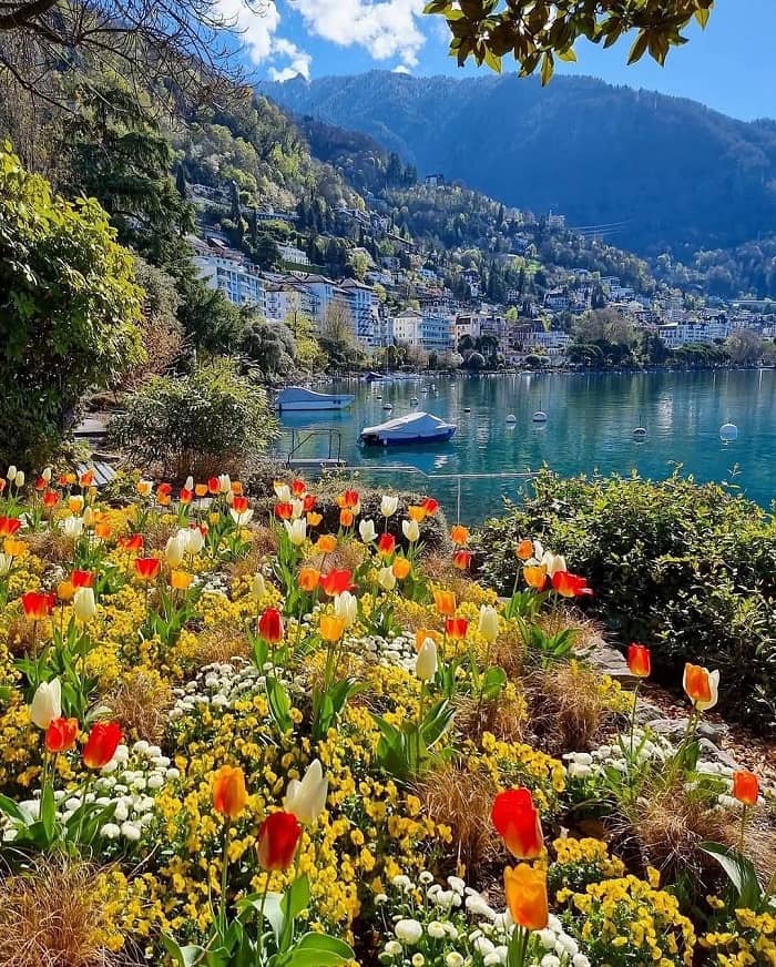 kinh nghiệm du lịch Thụy Sĩ mùa xuân nên đến Geneva