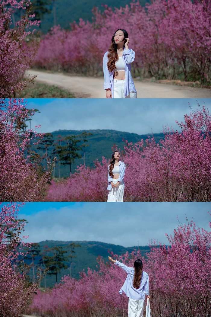 Thời tiết Tết Nguyên Đán 2026 vào mùa lễ hội xuân miền Trung