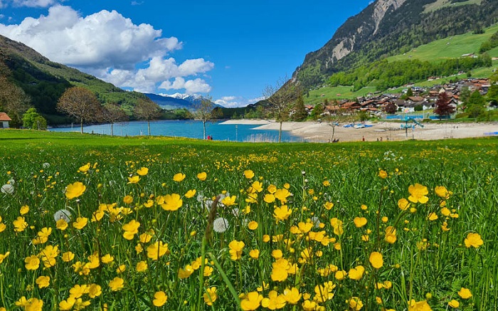 kinh nghiệm du lịch Thụy Sĩ mùa xuân nên đến Lucerne