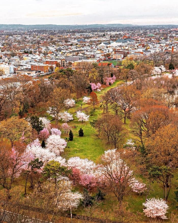 Công viên Belleville là điểm check in mùa xuân ở Paris