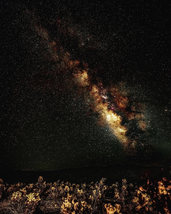 Ngắm sao và chụp ảnh thiên văn là hoạt động mạo hiểm tại công viên quốc gia Joshua Tree