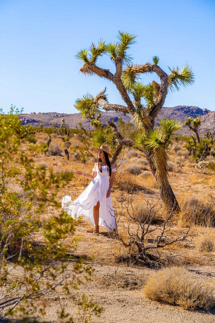 công viên Quốc gia Joshua Tree Mỹ