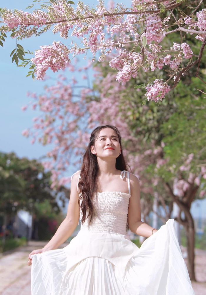 địa điểm ngắm hoa đỗ mai ở Vũng Tàu sống ảo