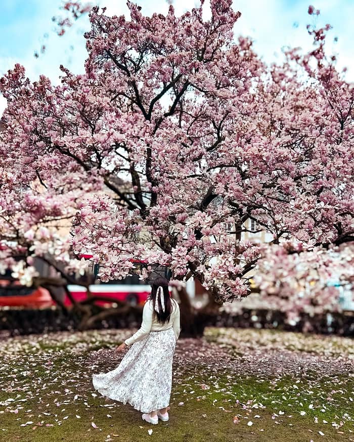 Du lịch Salzburg mùa xuân có gì