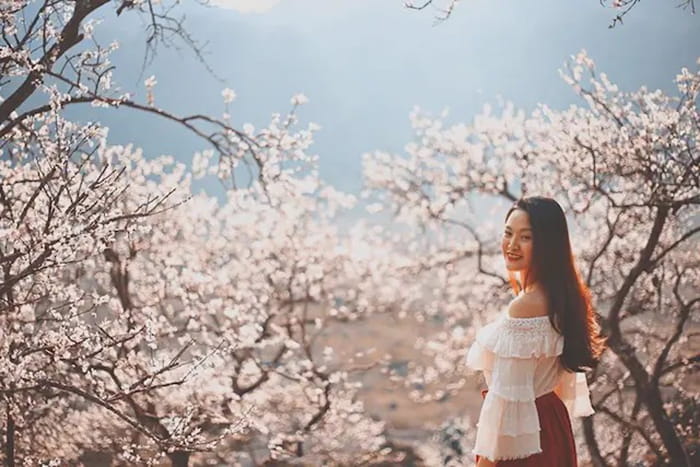 các mùa hoa ở Mộc Châu - Hoa đào Mộc Châu