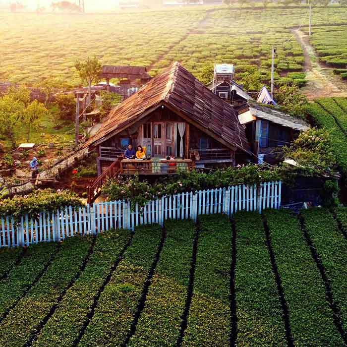 những địa điểm thuê trang phục dân tộc tại Mộc Châu - Không gian cánh đồng