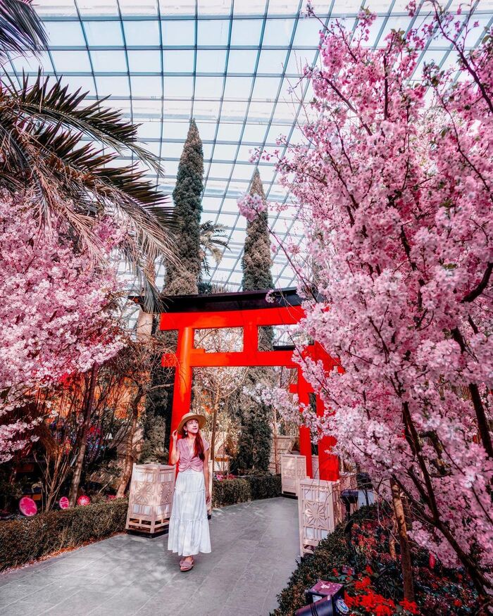 kinh nghiệm du xuân tại Singapore