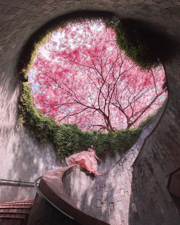 kinh nghiệm du xuân tại Singapore