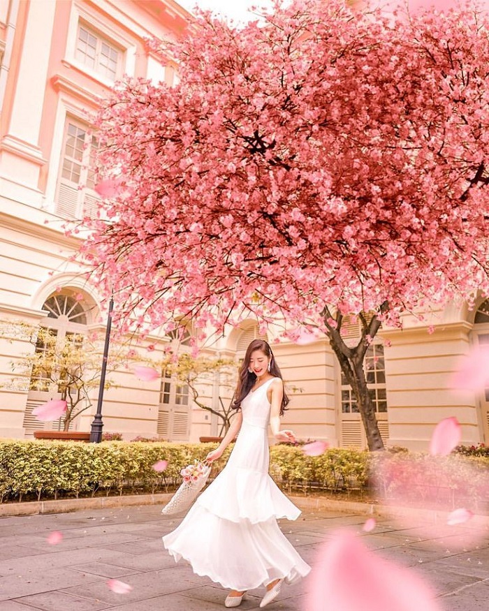 kinh nghiệm du xuân tại Singapore