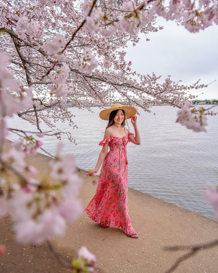 Lễ hội hoa anh đào Washington
