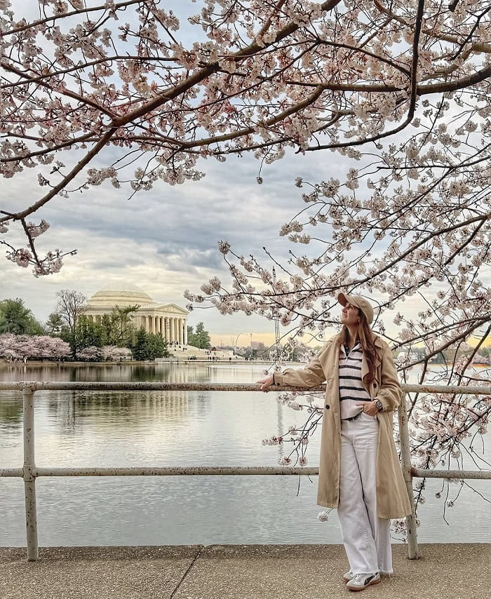 Lễ hội hoa anh đào Washington