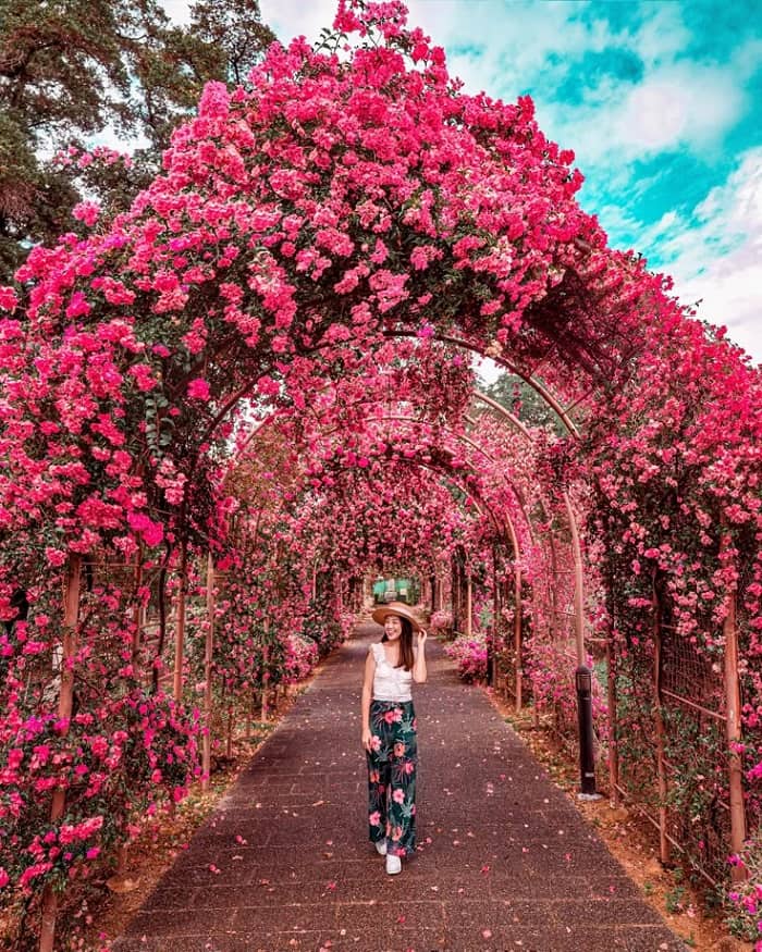 Lễ hội mùa xuân ở Singapore có gì thú vị