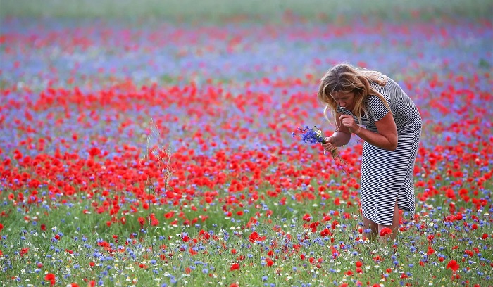 lễ hội mùa xuân ở Ý có gì thú vị