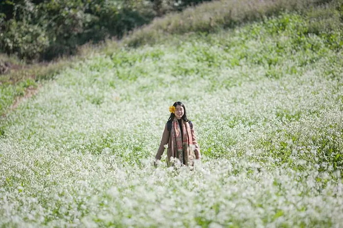 các mùa hoa ở Mộc Châu - Lên bản Pa Phách Mộc Châu 