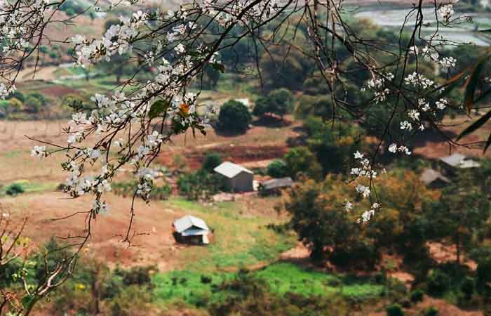 những địa điểm thuê trang phục dân tộc tại Mộc Châu - Mang về những bức ảnh