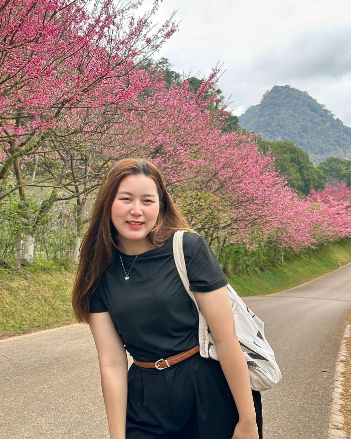 Mùa hoa anh đào ở Chiang Mai nên đến Trạm Nông nghiệp Hoàng gia Angkhang