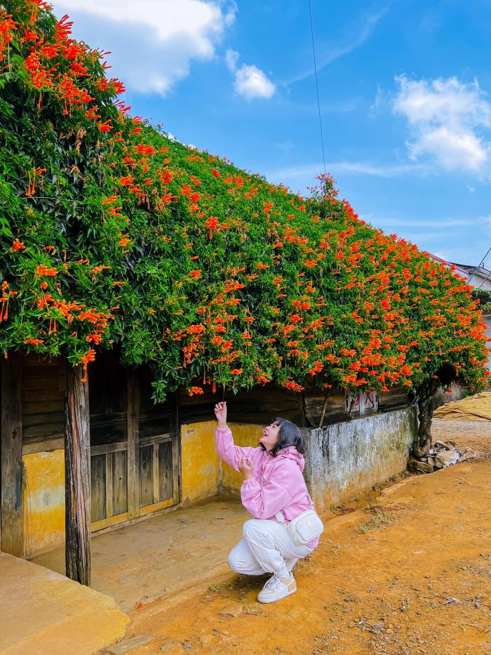 Ngôi nhà hoa xác pháo ở Bảo Lâm