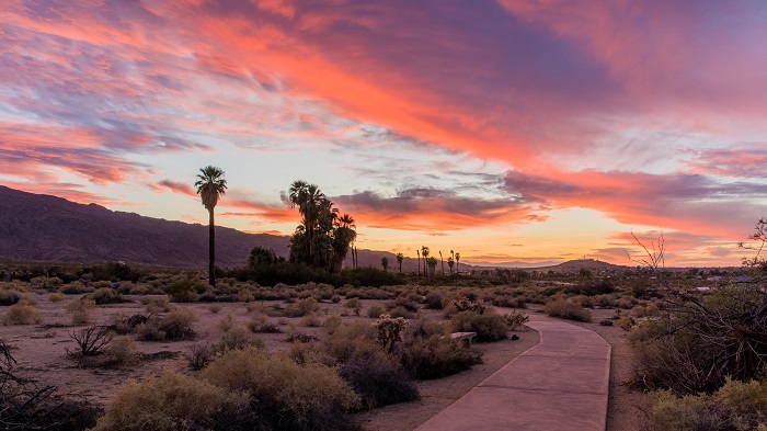 Ốc đảo Mara là hoạt động tuyệt vời tại công viên Quốc gia Joshua Tree