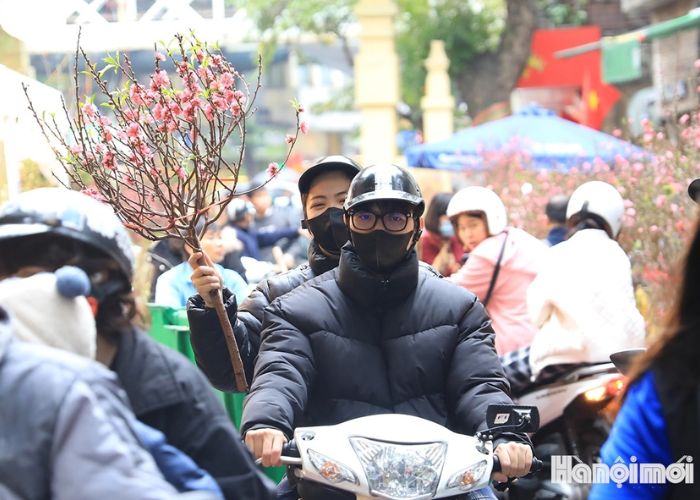 Thời tiết Tết Nguyên Đán 2026 tại miền Bắc