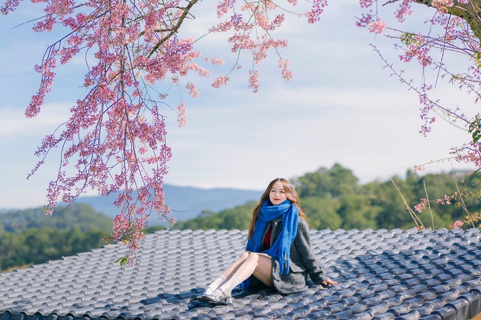 Thời tiết Tết Nguyên Đán 2026 tại miền Trung