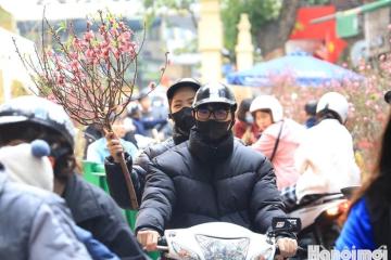 Thời tiết Tết Nguyên Đán 2026: Dự báo chi tiết 3 miền và gợi ý du xuân phù hợp