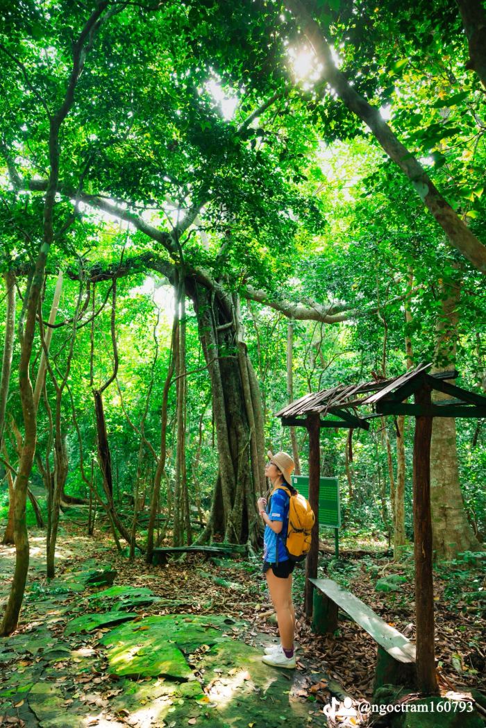 trekking vườn quốc gia Côn Đảo Ma Thiên Lãnh – Sở Rẫy