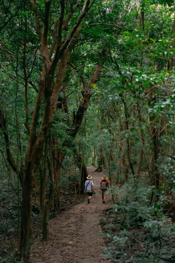 trekking vườn quốc gia Côn Đảo núi chúa 
