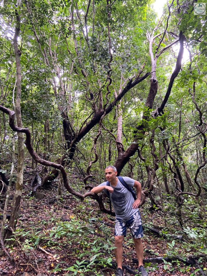 trekking vườn quốc gia Côn Đảo Vịnh Đầm Tre