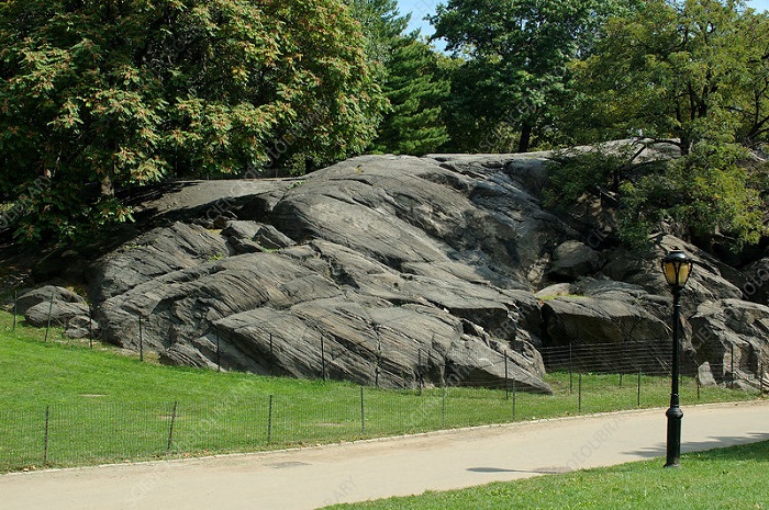 Khám phá công viên trung tâm Central Park - lá phổi xanh của New York