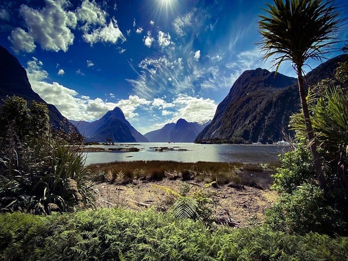 5 địa điểm du lịch đảo Nam New Zealand nổi tiếng