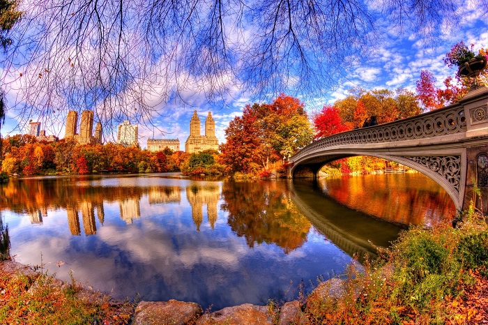 Khám phá công viên trung tâm Central Park - lá phổi xanh của New York
