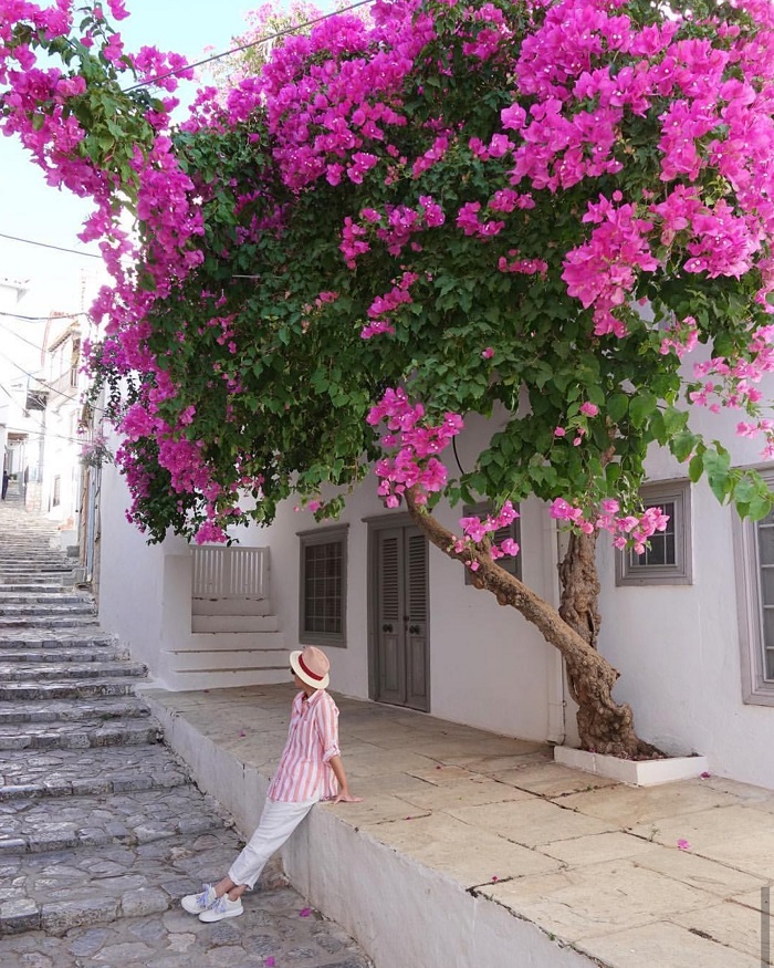 Vẻ đẹp hòn đảo Hydra Hy Lạp