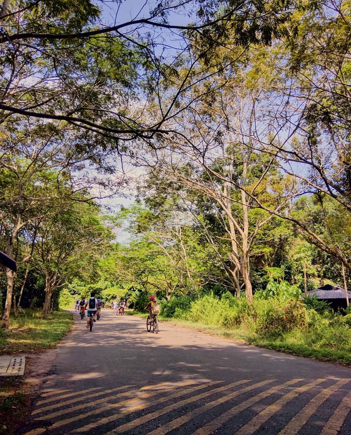 Đảo Pulau Ubin Singapore - hòn đảo yên bình và hoang sơ
