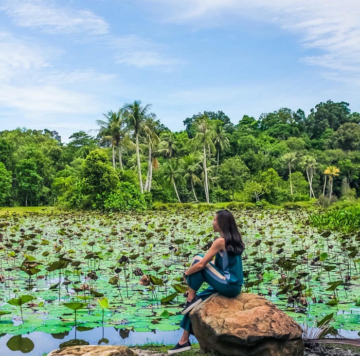 Đảo Pulau Ubin Singapore - hòn đảo yên bình và hoang sơ