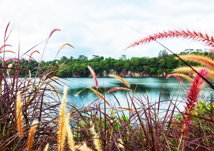 Đảo Pulau Ubin Singapore - hòn đảo yên bình và hoang sơ