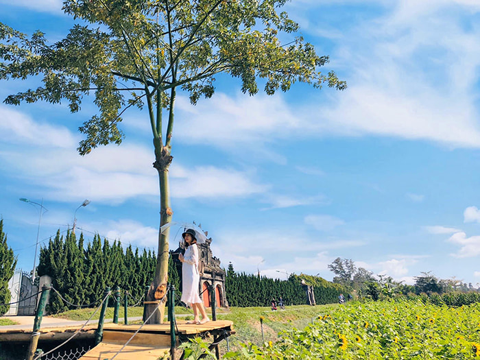 The romantic Hue flower garden scene is not inferior to Da Lat with flowers.