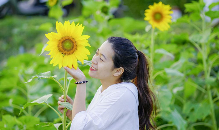 In the sunny season, sunflowers are in full bloom, attracting many young people to visit and take pictures.