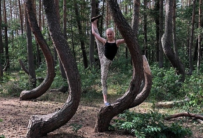 Khám phá sự bí ẩn của khu rừng cong Crooked Ba Lan