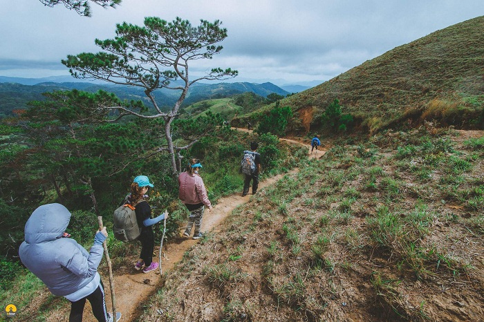 Hành trình chinh phục cung đường trekking rừng Tà Năng