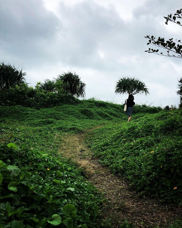 a place to go to Tet in Phu Yen - walk on the grass of Da Dia branch