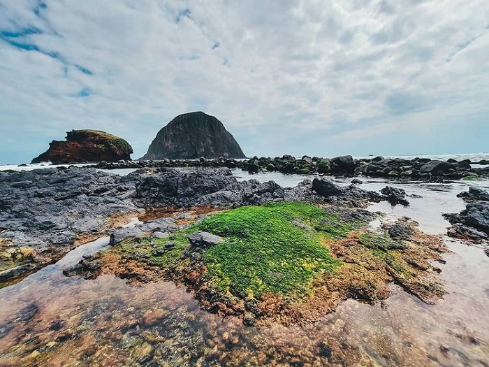 place to go Tet in Phu Yen - see the coral island of Yen